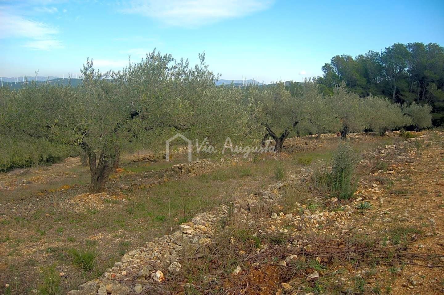 Teren niezagospodarowany na sprzedaż w El Perello - 47 000 € (Ref: 4985330)