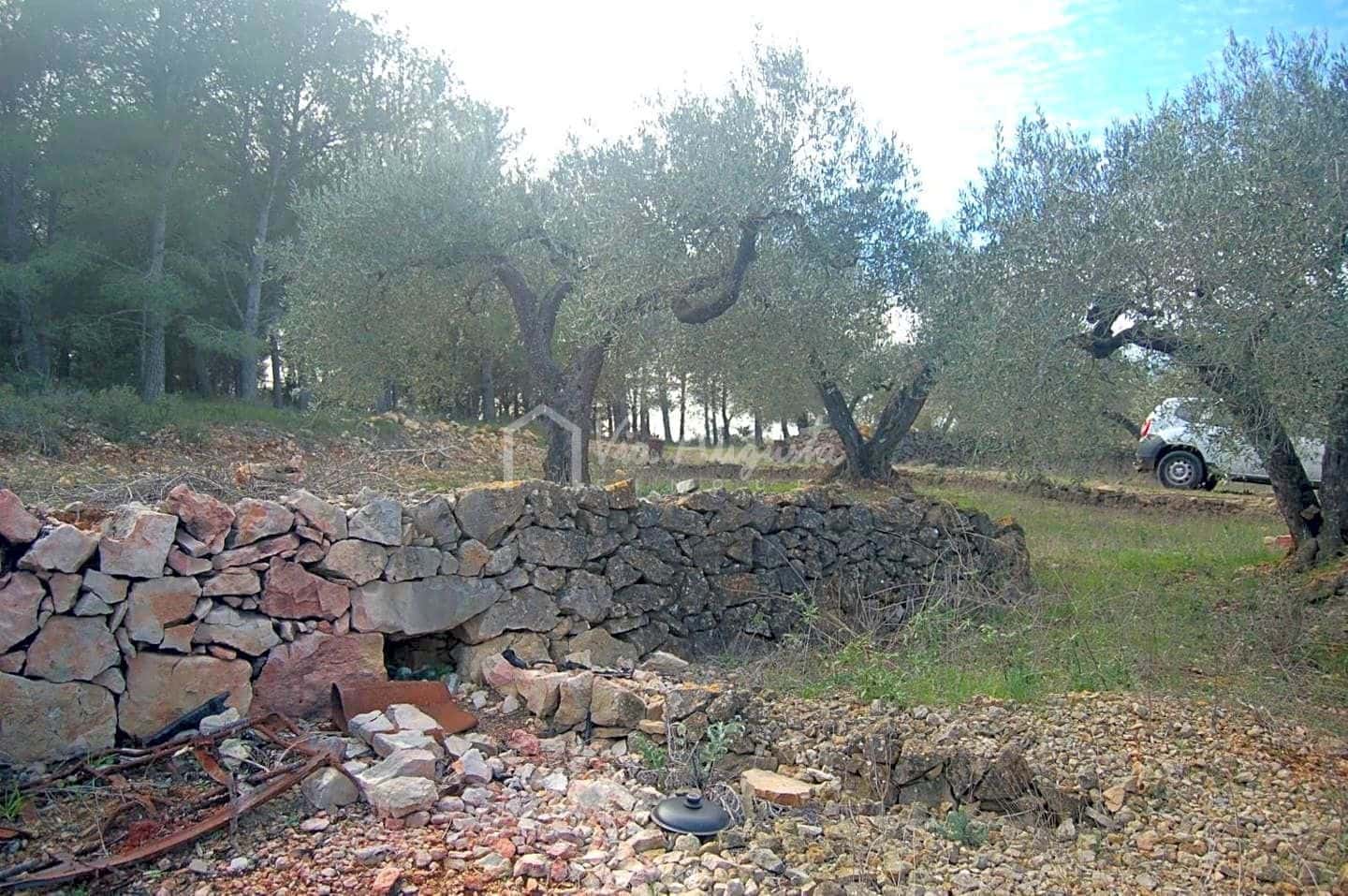 Teren niezagospodarowany na sprzedaż w El Perello - 47 000 € (Ref: 4985330)