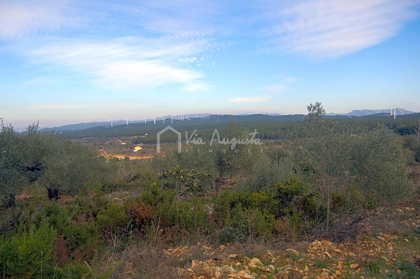 Teren niezagospodarowany na sprzedaż w El Perello - 47 000 € (Ref: 4985330)