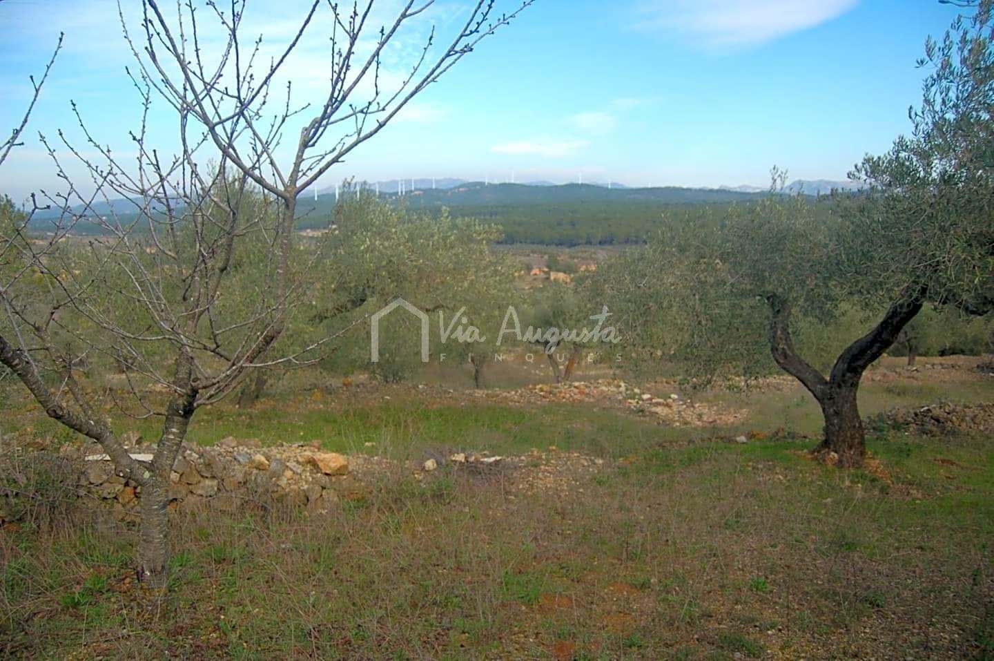 Teren niezagospodarowany na sprzedaż w El Perello - 47 000 € (Ref: 4985330)