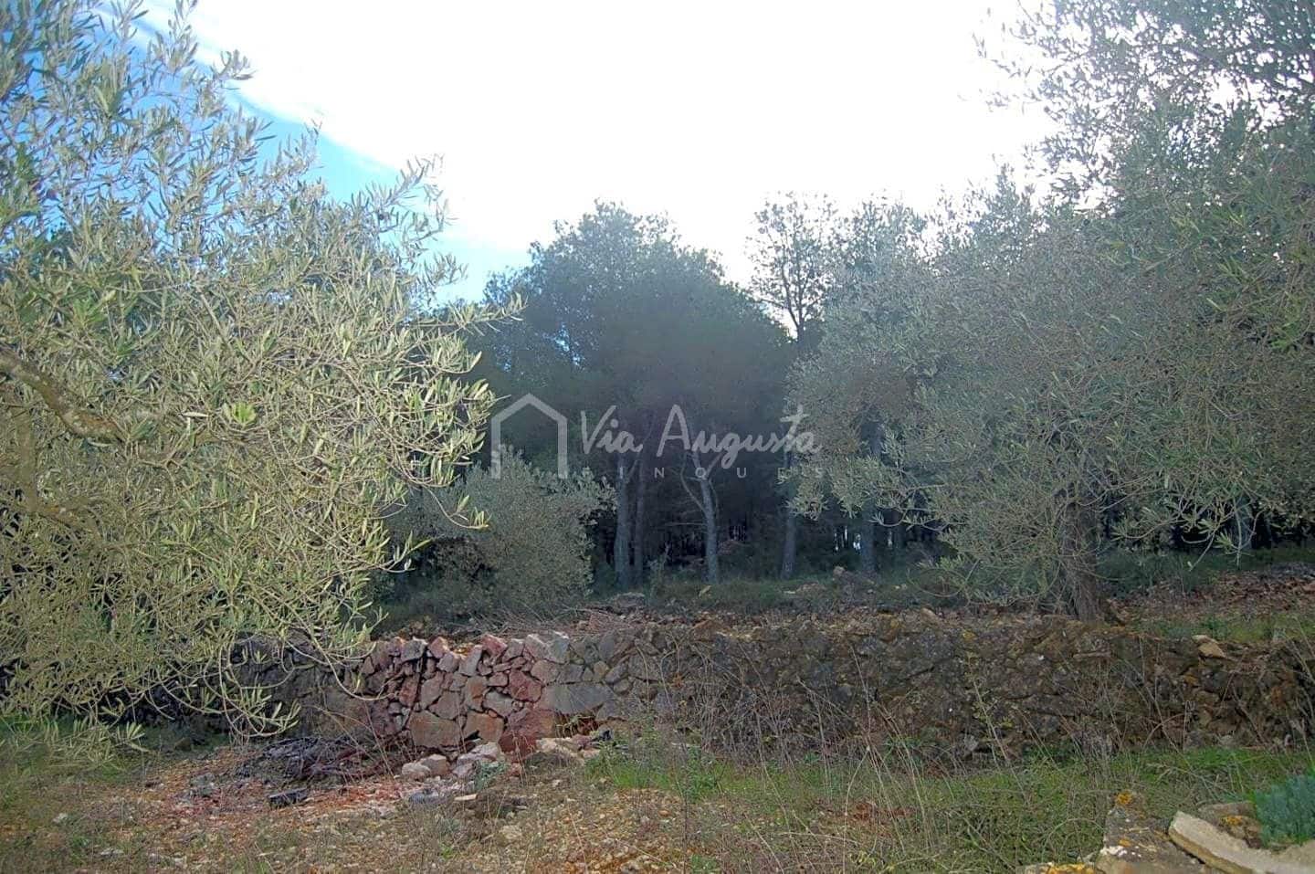 Teren niezagospodarowany na sprzedaż w El Perello - 47 000 € (Ref: 4985330)