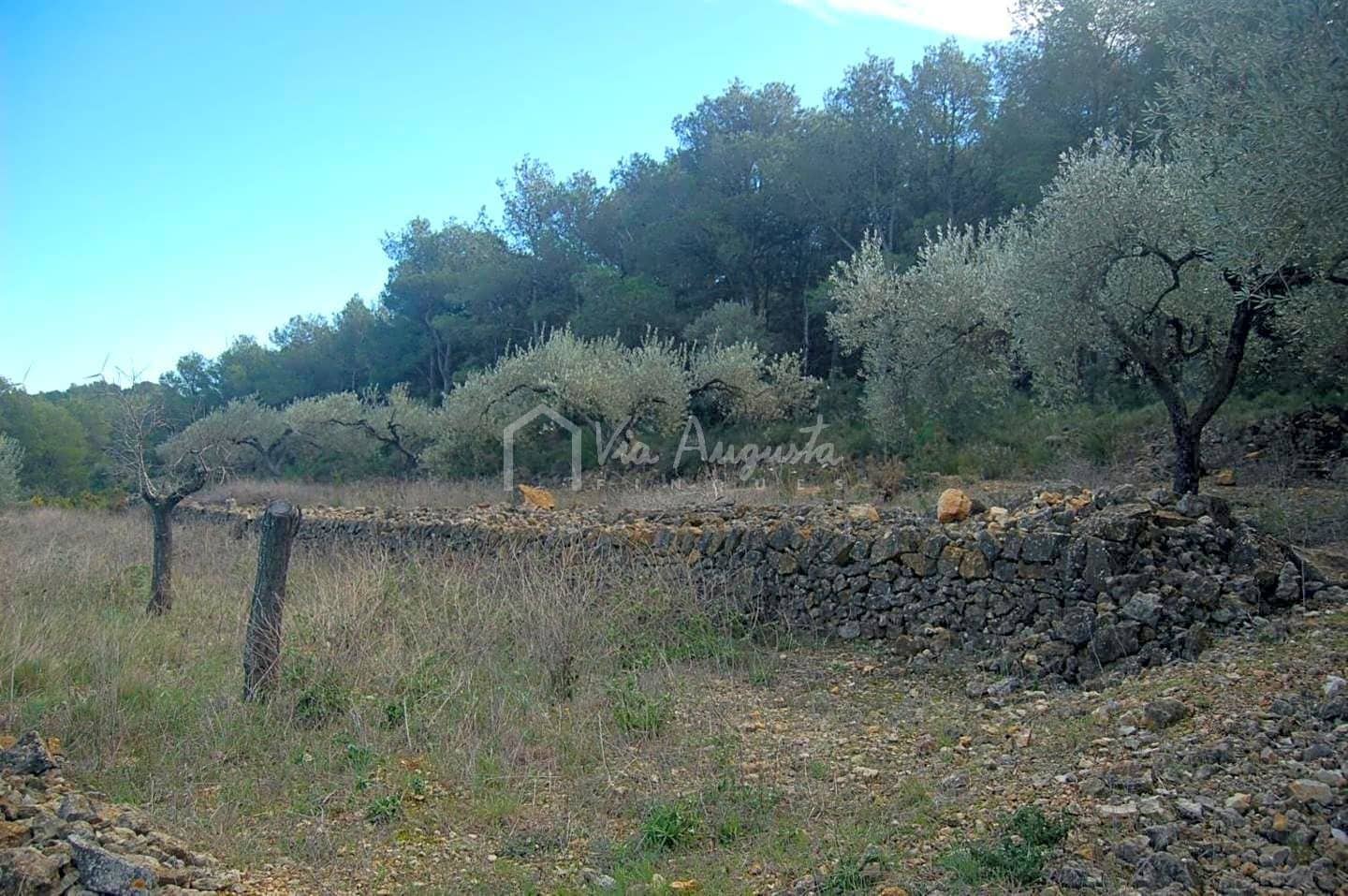 Teren niezagospodarowany na sprzedaż w El Perello - 47 000 € (Ref: 4985330)