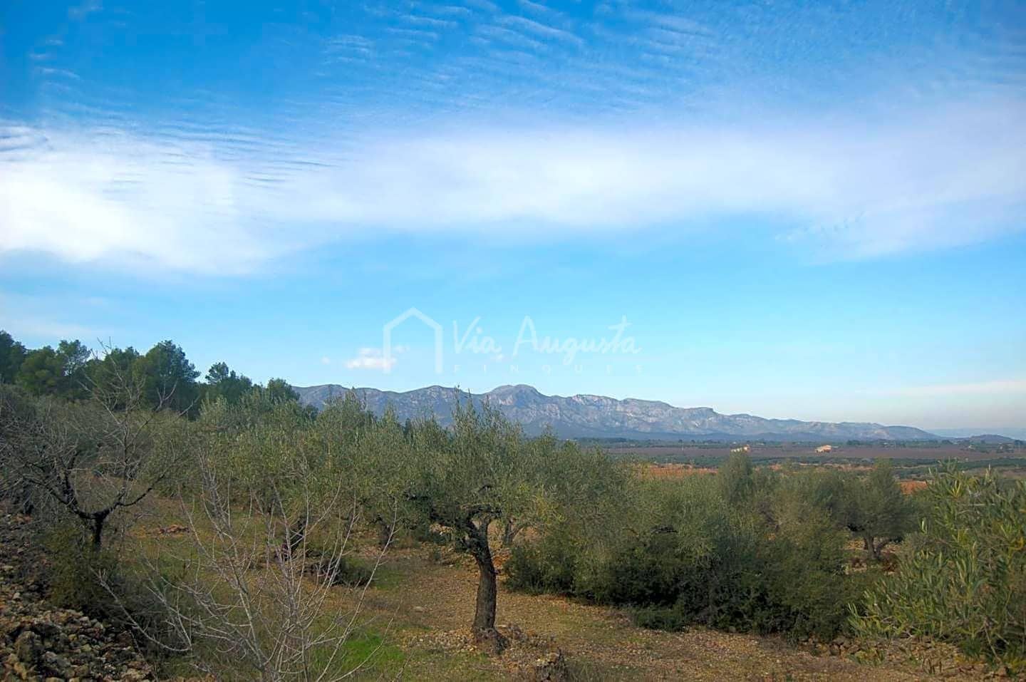 Teren niezagospodarowany na sprzedaż w El Perello - 47 000 € (Ref: 4985330)