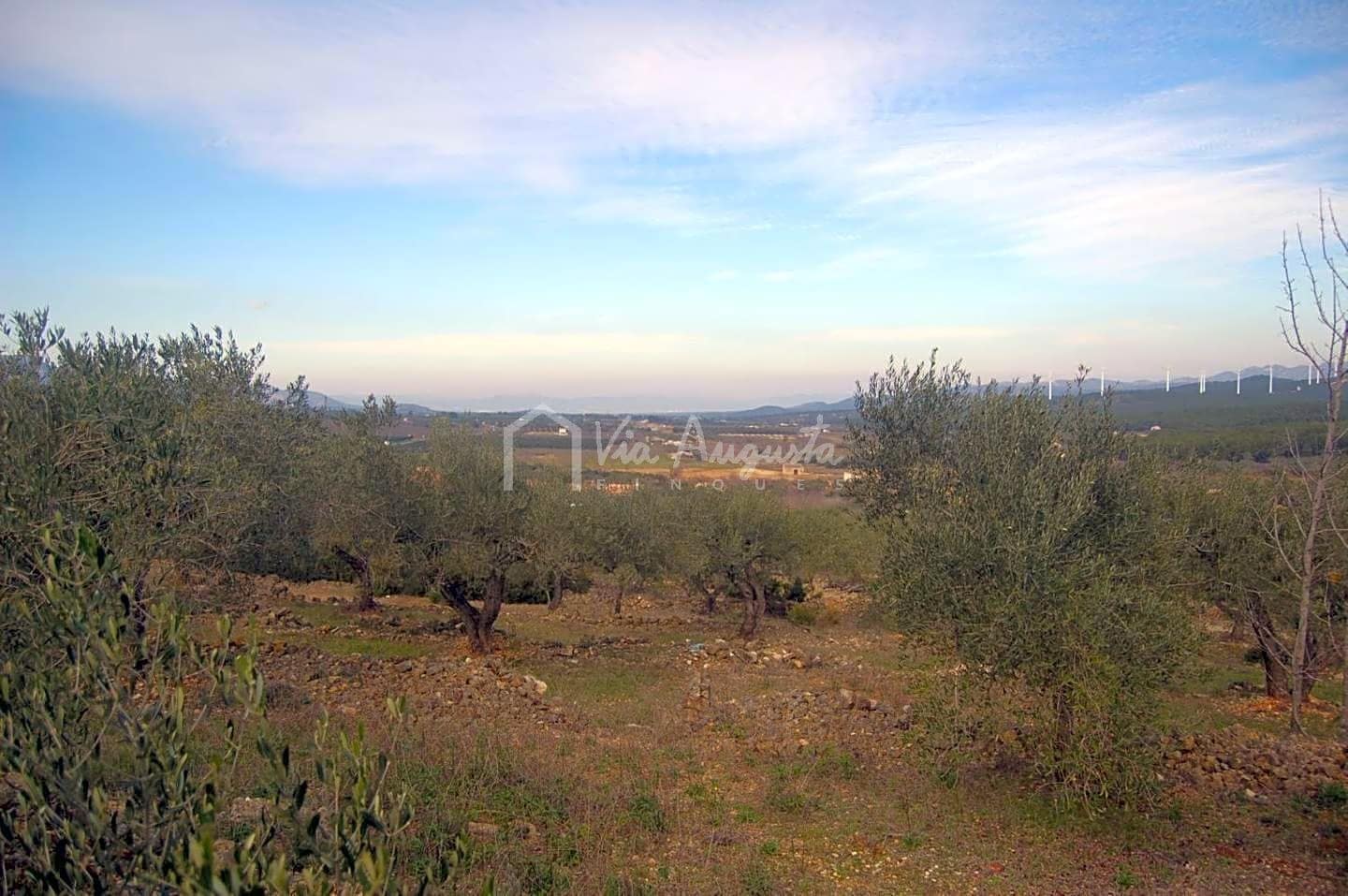 Teren niezagospodarowany na sprzedaż w El Perello - 47 000 € (Ref: 4985330)