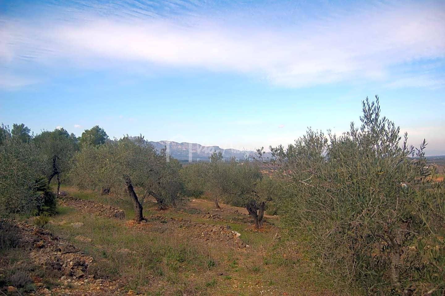 Teren niezagospodarowany na sprzedaż w El Perello - 47 000 € (Ref: 4985330)