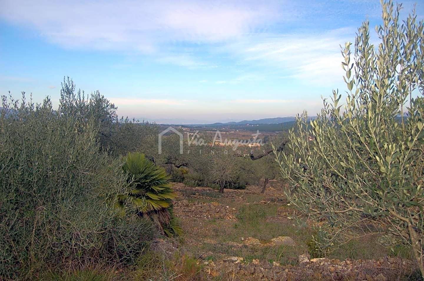 Teren niezagospodarowany na sprzedaż w El Perello - 47 000 € (Ref: 4985330)