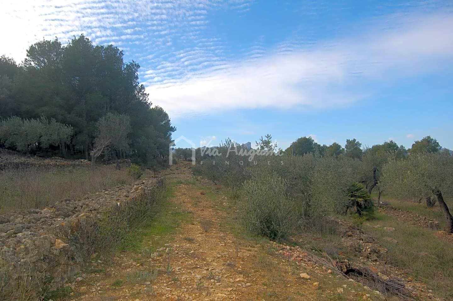 Teren niezagospodarowany na sprzedaż w El Perello - 47 000 € (Ref: 4985330)