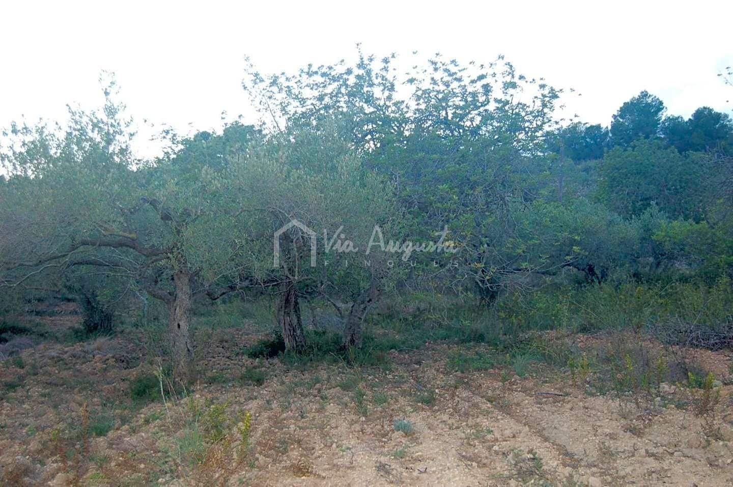 Teren niezagospodarowany na sprzedaż w El Perello - 44 000 € (Ref: 4985339)