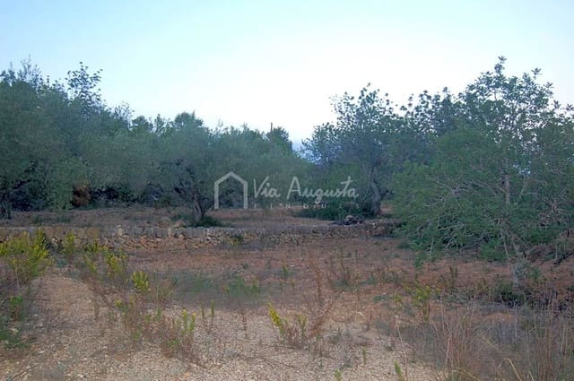 Grond te koop in El Perelló - € 44.000 (Ref: 4985339)