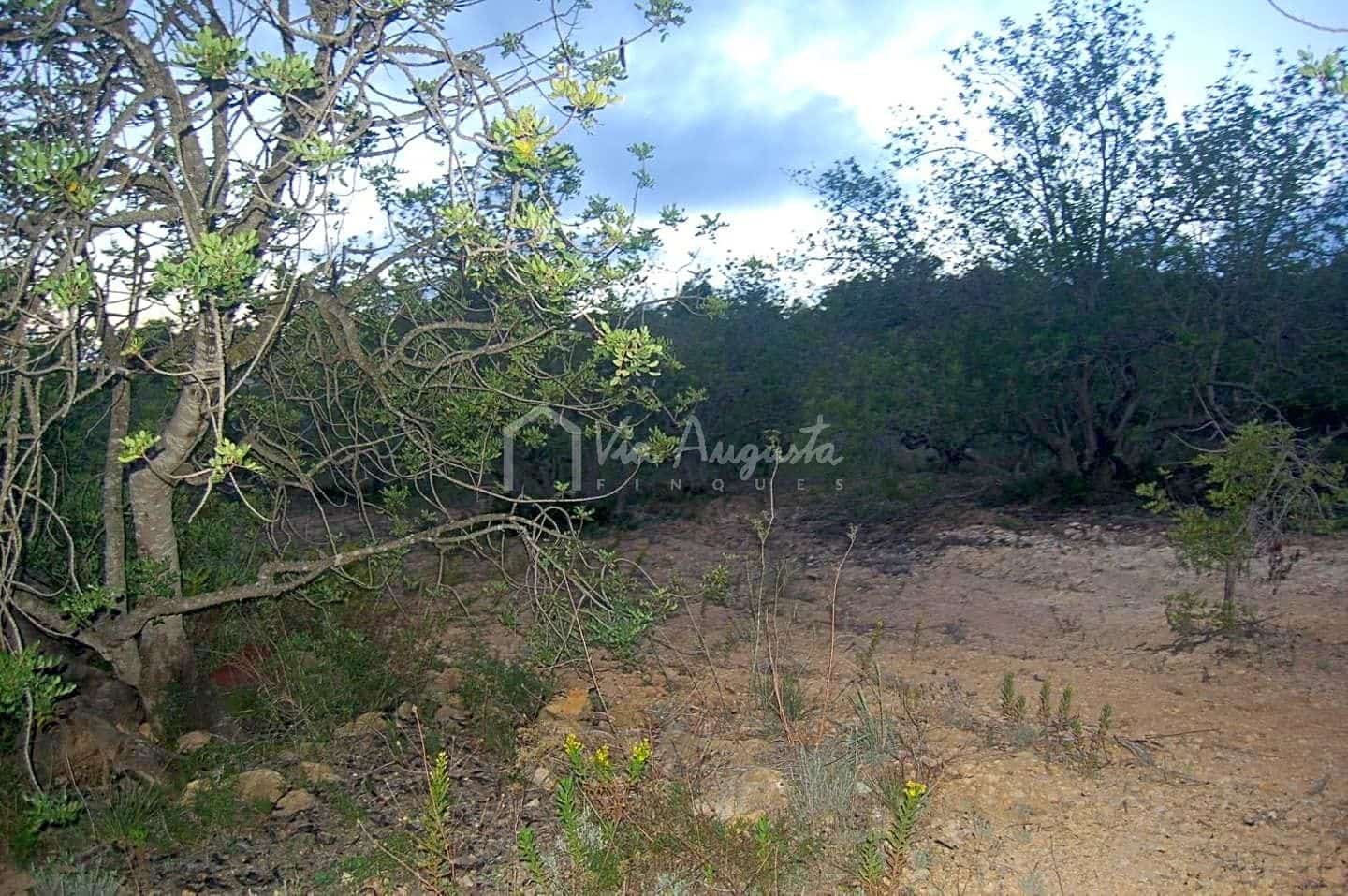 Teren niezagospodarowany na sprzedaż w El Perello - 44 000 € (Ref: 4985339)