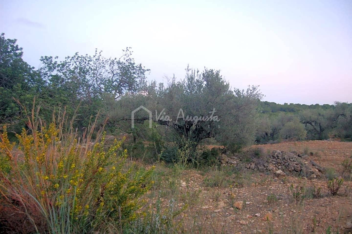 Teren niezagospodarowany na sprzedaż w El Perello - 44 000 € (Ref: 4985339)