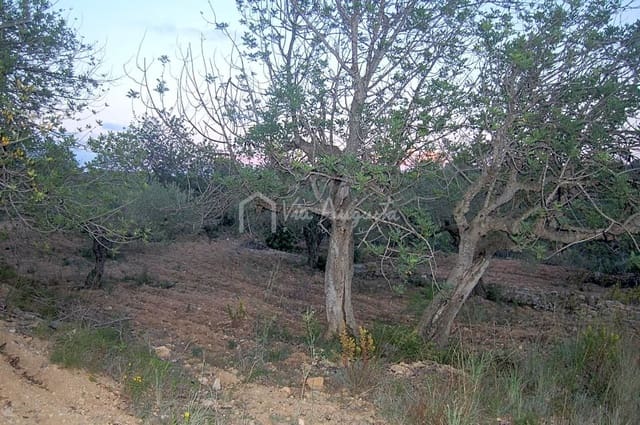 Grond te koop in El Perelló - € 44.000 (Ref: 4985339)