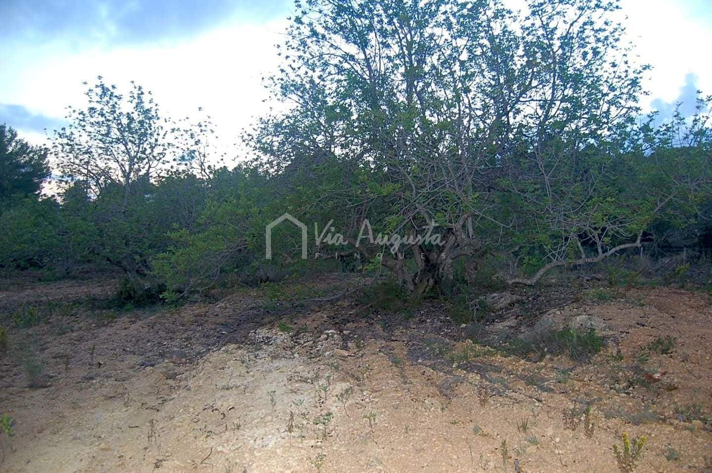 Teren niezagospodarowany na sprzedaż w El Perello - 44 000 € (Ref: 4985339)