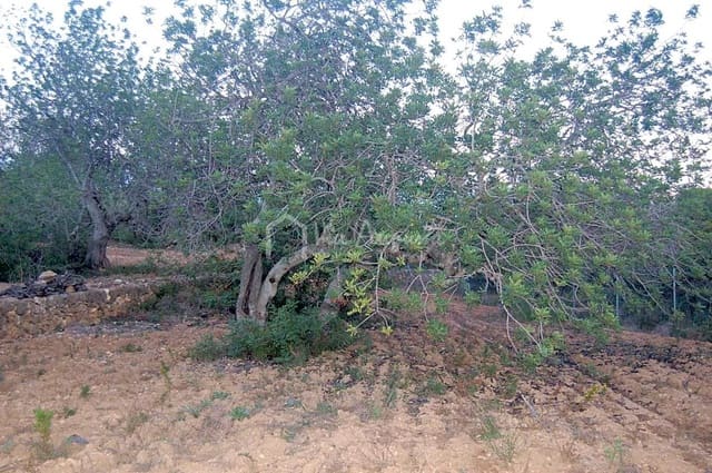 Grond te koop in El Perelló - € 44.000 (Ref: 4985339)