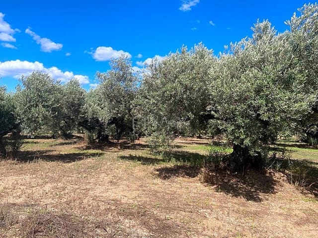 Grond te koop in Aldover - € 70.000 (Ref: 5527108)