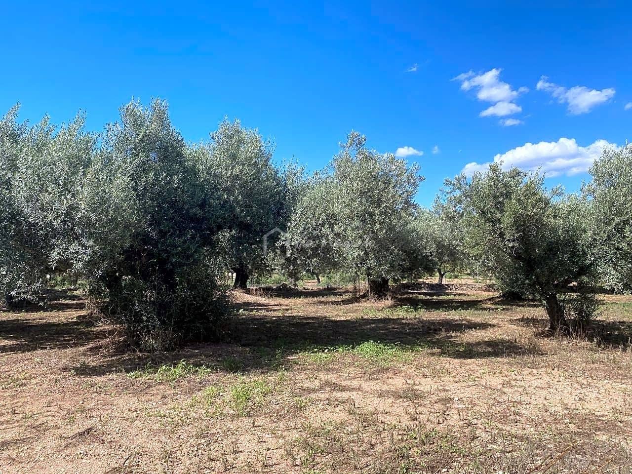 Ubebygd land til salgs i Aldover - € 70 000 (Ref: 5527108)