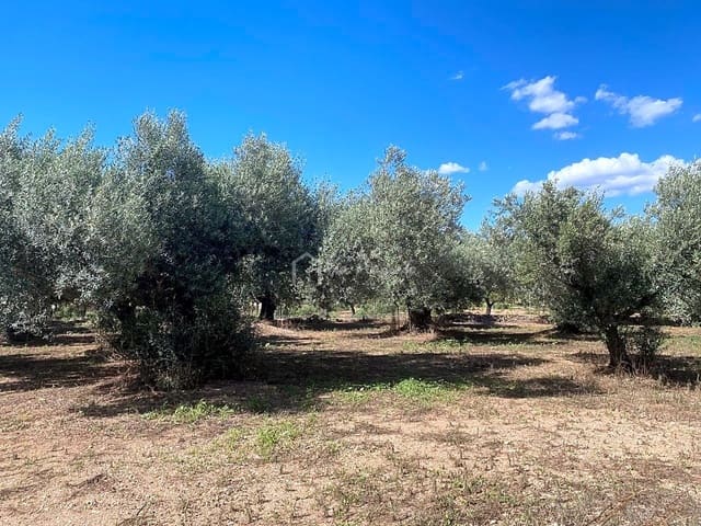 Grond te koop in Aldover - € 70.000 (Ref: 5527108)