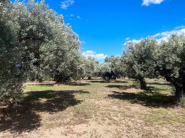 Grond te koop in Aldover - € 70.000 (Ref: 5527108)