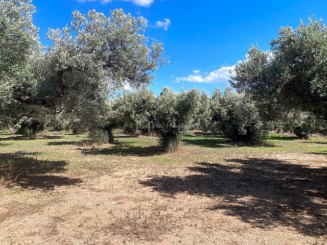 Grond te koop in Aldover - € 70.000 (Ref: 5527108)