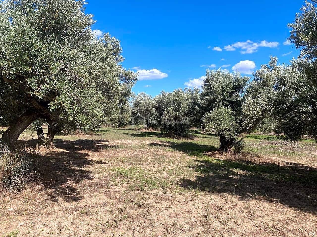 Ubebygd land til salgs i Aldover - € 70 000 (Ref: 5527108)