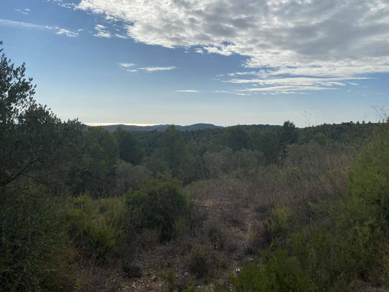 Ubebygd land til salgs i El Perello - € 38 000 (Ref: 5755887)