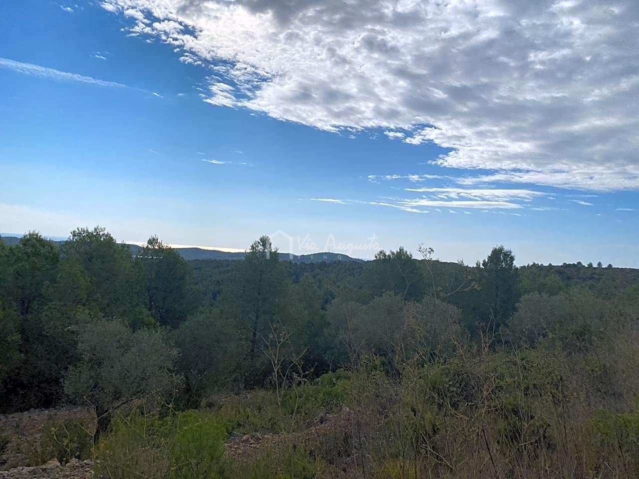 Ubebygd land til salgs i El Perello - € 38 000 (Ref: 5755887)