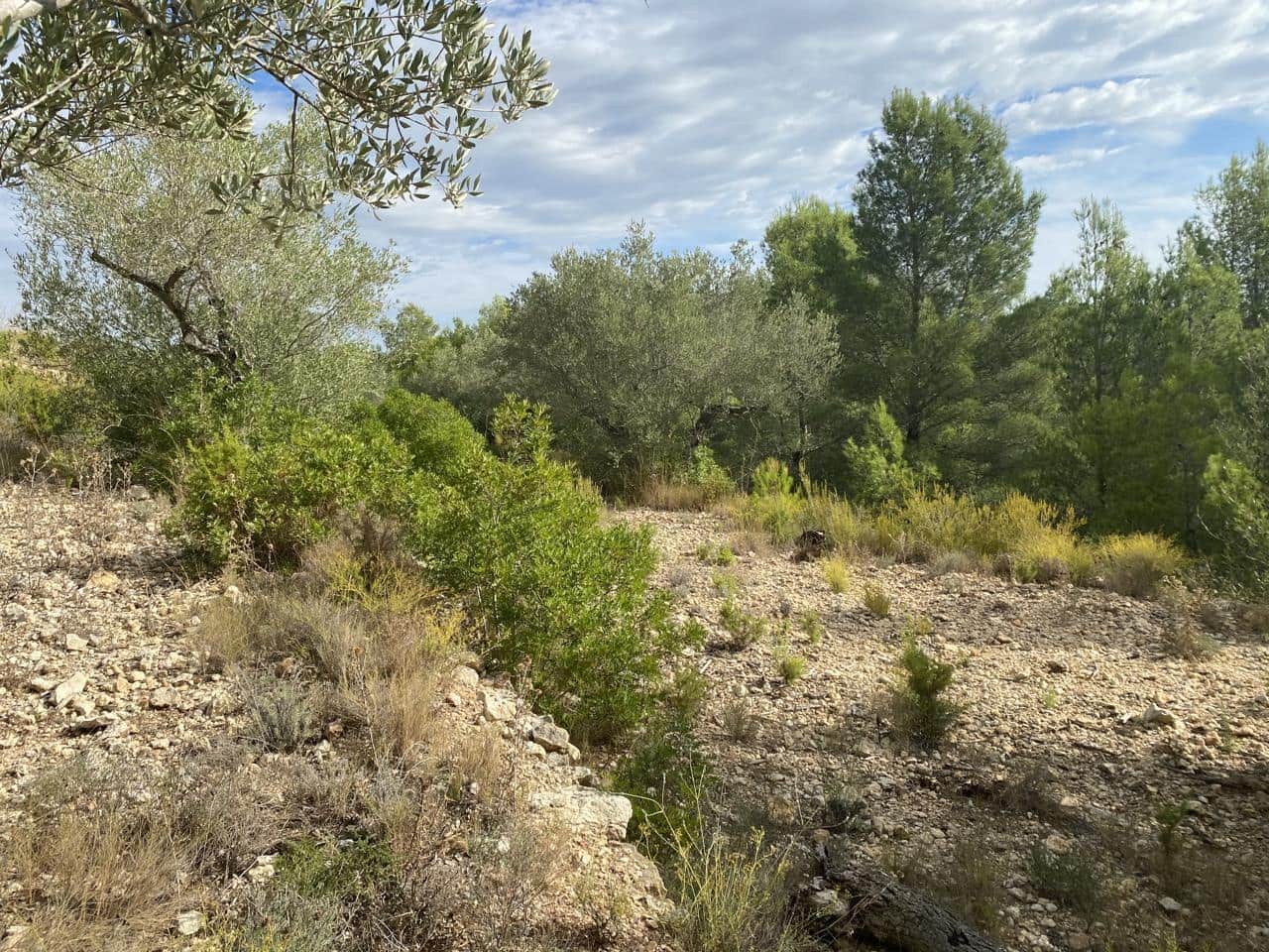 Ubebygd land til salgs i El Perello - € 38 000 (Ref: 5755887)
