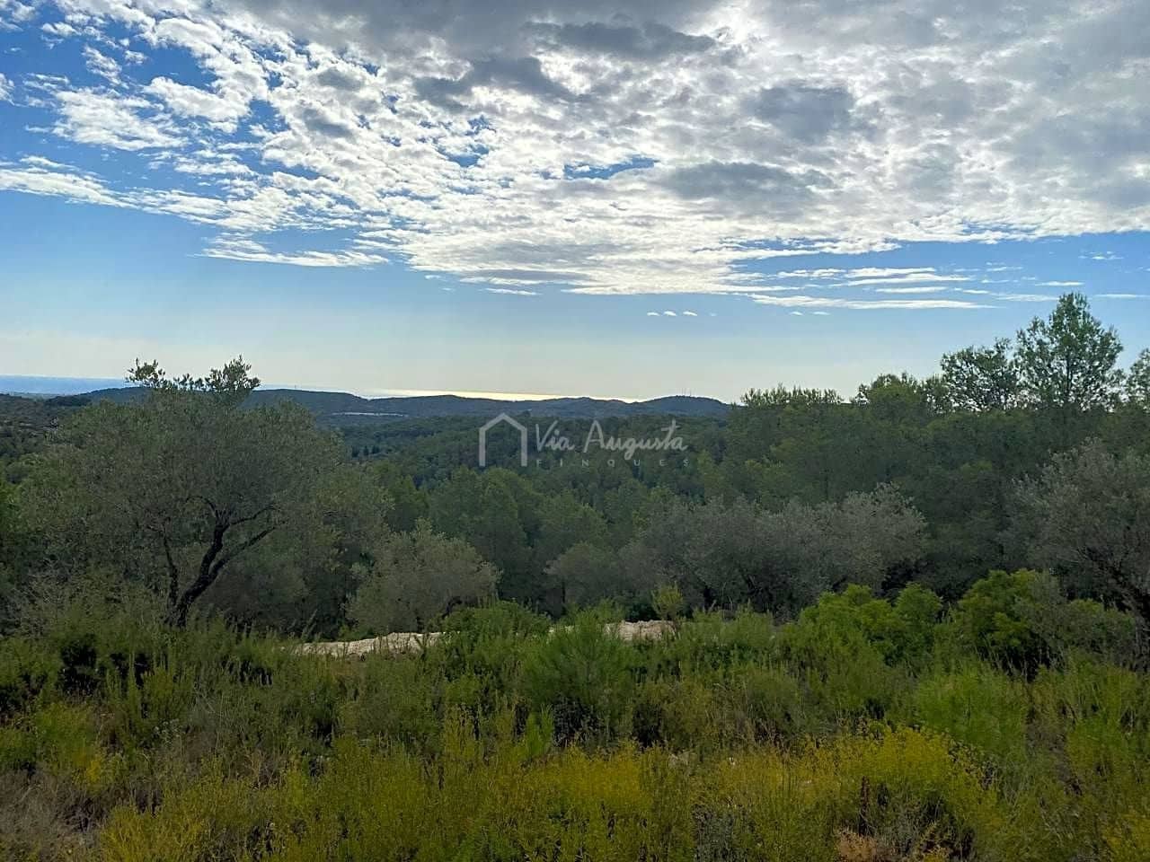 Ubebygd land til salgs i El Perello - € 38 000 (Ref: 5755887)