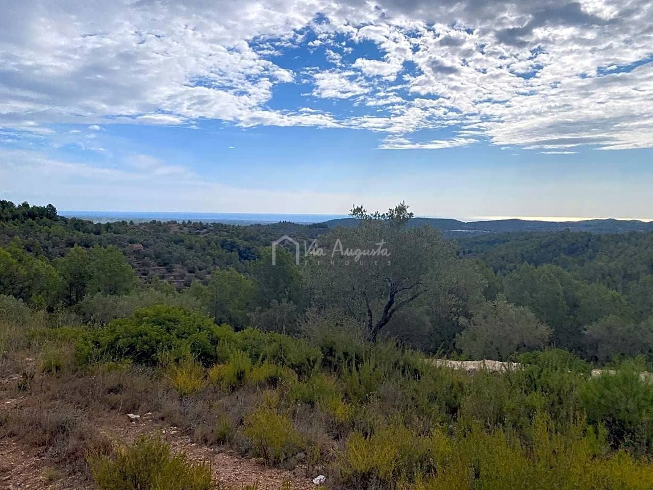 Ubebygd land til salgs i El Perello - € 38 000 (Ref: 5755887)