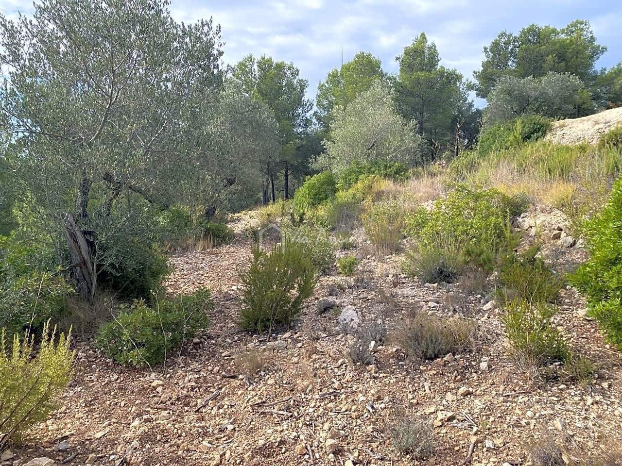 Ubebygd land til salgs i El Perello - € 38 000 (Ref: 5755887)
