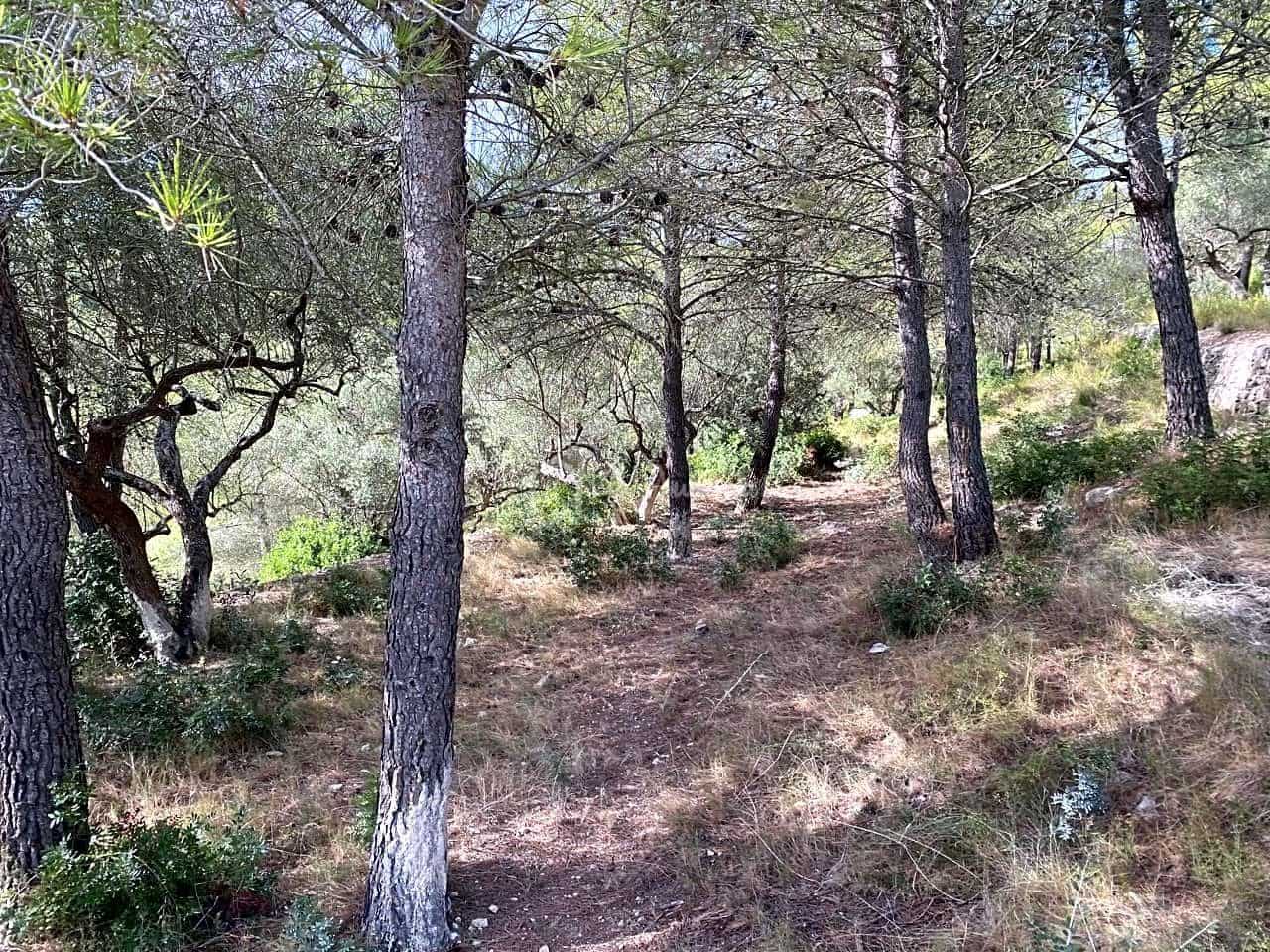 Ubebygd land til salgs i El Perello - € 38 000 (Ref: 5755887)