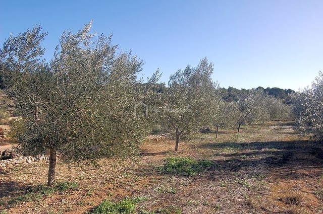 Undeveloped Land for sale in El Perelló - € 49,000 (Ref: 5883523)