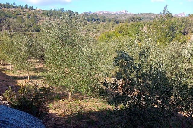 Undeveloped Land for sale in El Perelló - € 49,000 (Ref: 5883523)