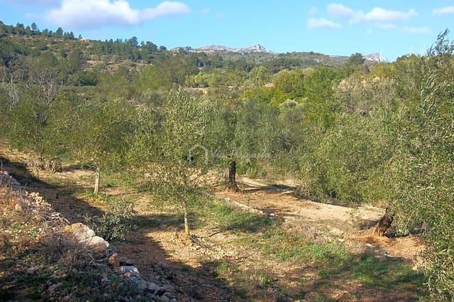 Undeveloped Land for sale in El Perelló - € 49,000 (Ref: 5883523)