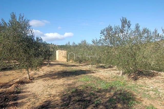 Undeveloped Land for sale in El Perelló - € 49,000 (Ref: 5883523)