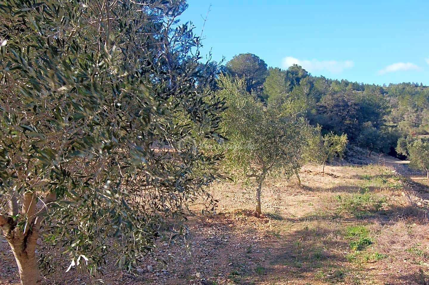 Undeveloped Land for sale in El Perello - € 49,000 (Ref: 5883523)