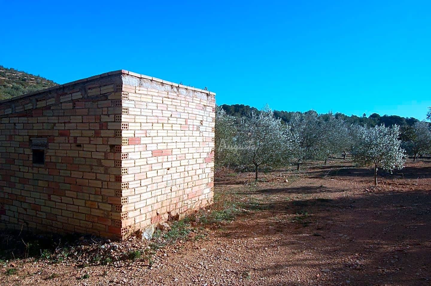 Undeveloped Land for sale in El Perello - € 49,000 (Ref: 5883523)