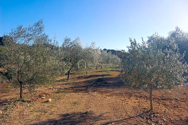 Undeveloped Land for sale in El Perelló - € 49,000 (Ref: 5883523)