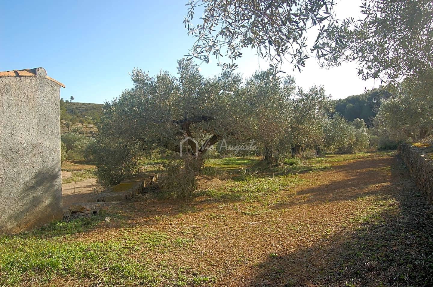 Teren niezagospodarowany na sprzedaż w El Perello - 118 000 € (Ref: 5883524)