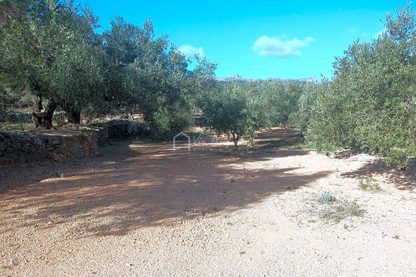 Teren niezagospodarowany na sprzedaż w El Perello - 118 000 € (Ref: 5883524)