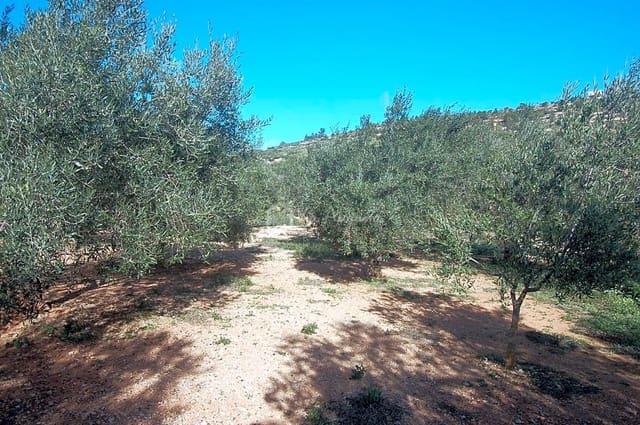 Undeveloped Land for sale in El Perelló - € 118,000 (Ref: 5883524)