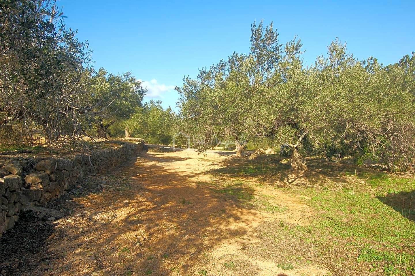 Teren niezagospodarowany na sprzedaż w El Perello - 118 000 € (Ref: 5883524)