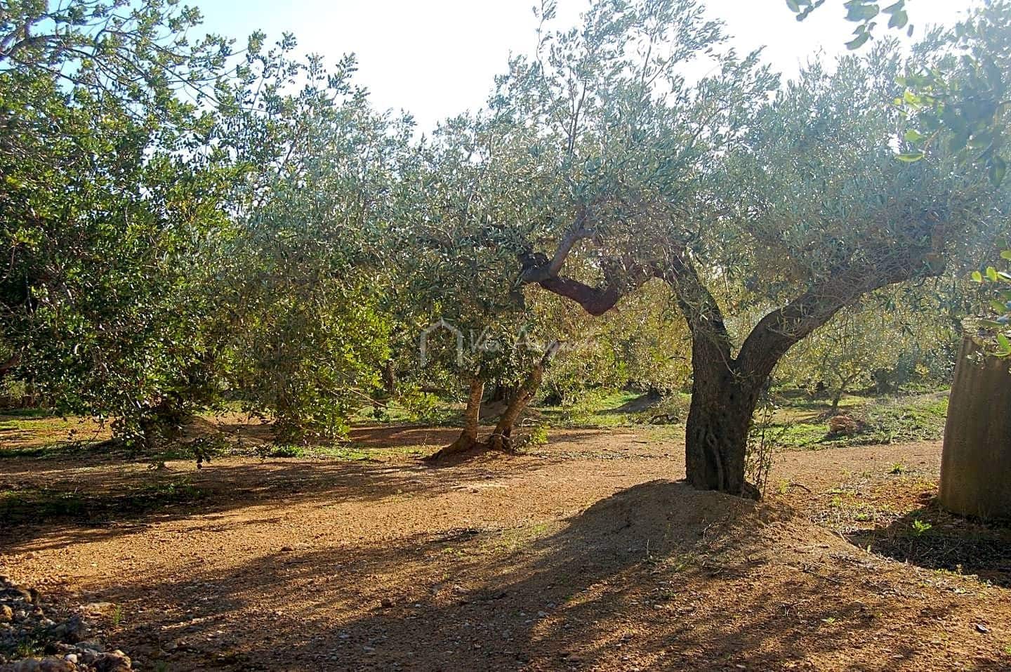 Teren niezagospodarowany na sprzedaż w El Perello - 118 000 € (Ref: 5883524)