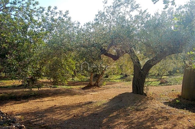 Undeveloped Land for sale in El Perelló - € 118,000 (Ref: 5883524)