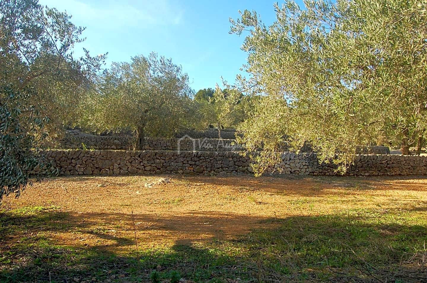 Teren niezagospodarowany na sprzedaż w El Perello - 118 000 € (Ref: 5883524)