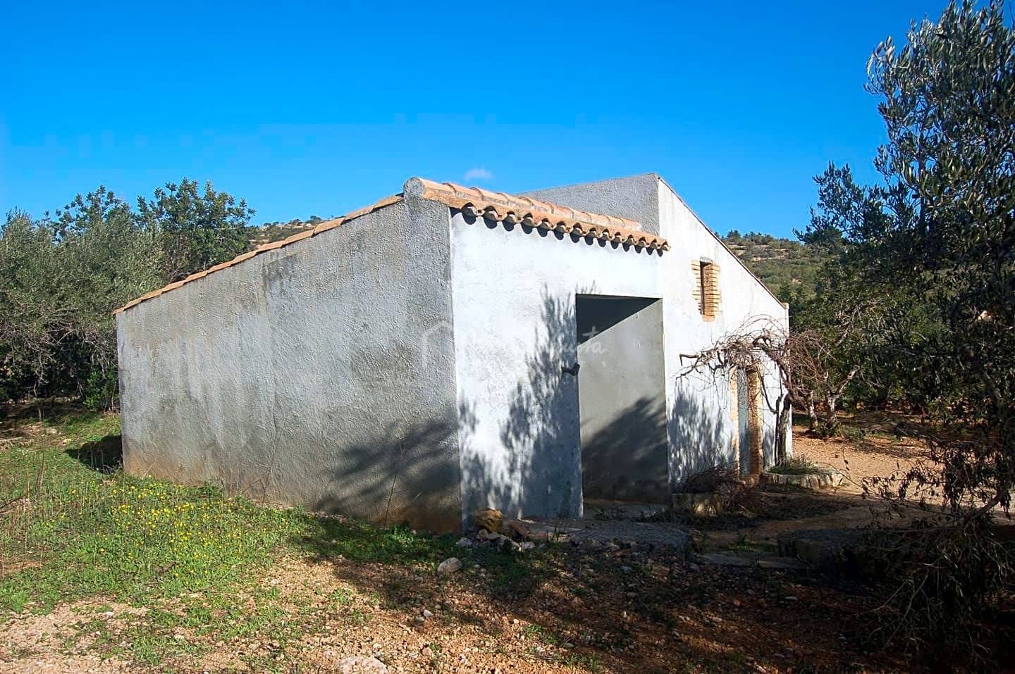 Teren niezagospodarowany na sprzedaż w El Perello - 118 000 € (Ref: 5883524)