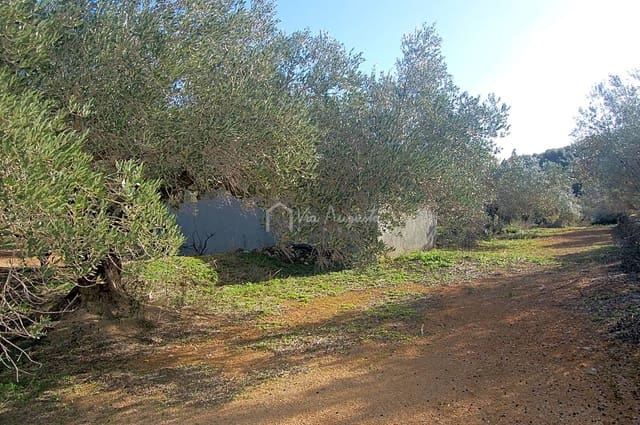 Undeveloped Land for sale in El Perelló - € 118,000 (Ref: 5883524)