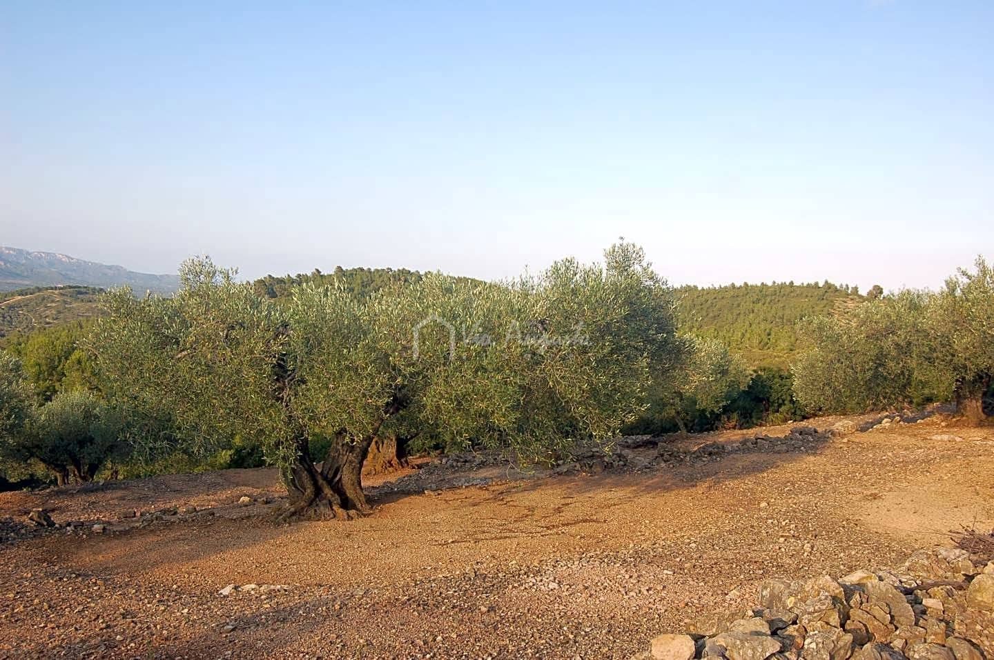 Grond te koop in El Perello - € 15.000 (Ref: 6224068)