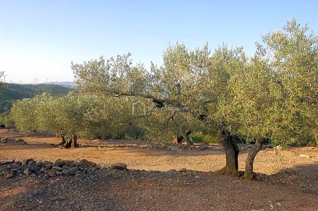 Ubebygd land til salgs i El Perelló - € 15 000 (Ref: 6224068)