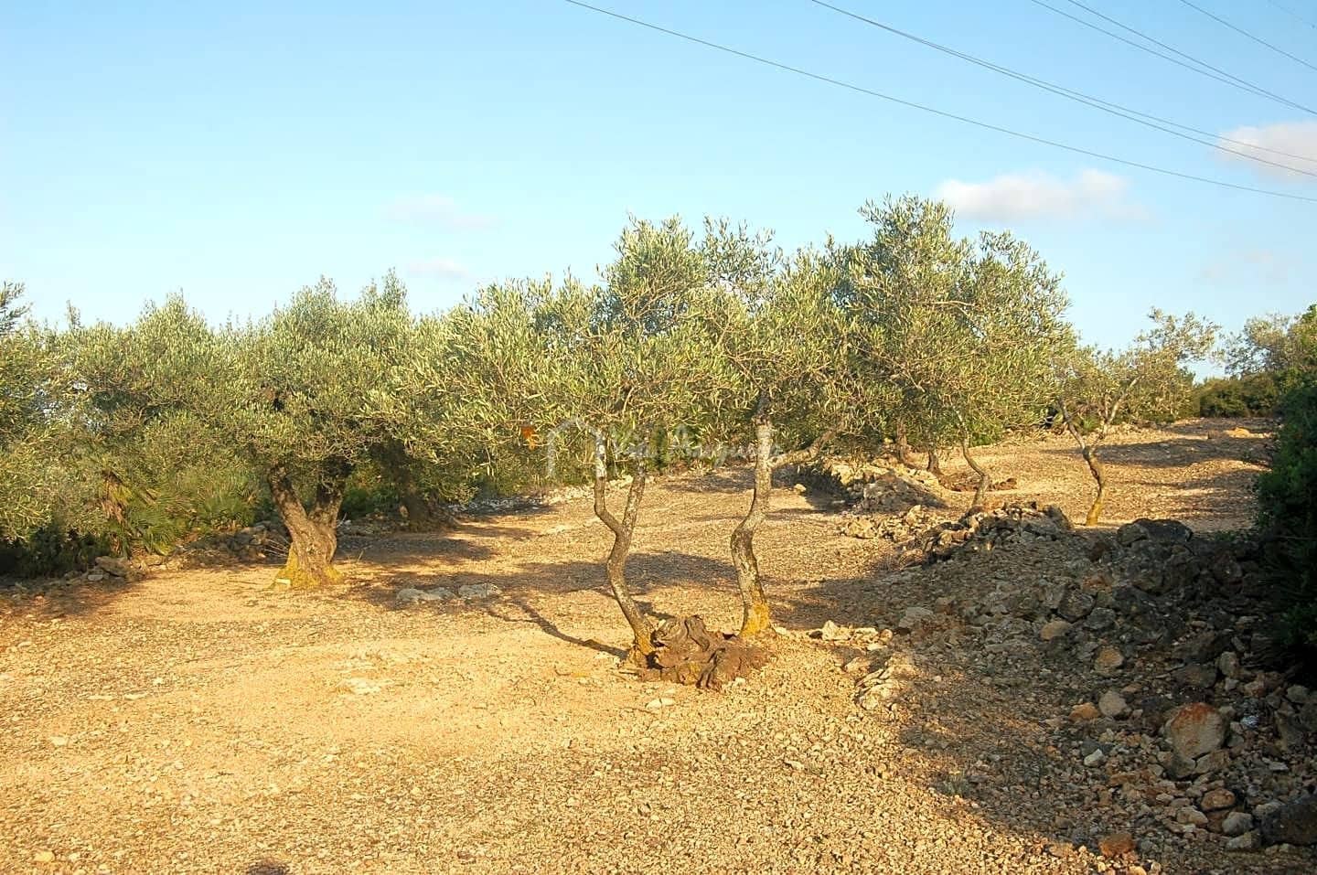 Grond te koop in El Perello - € 15.000 (Ref: 6224068)